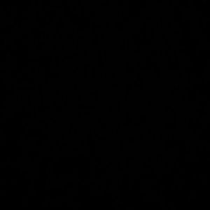 Meet your Posher, Peyton